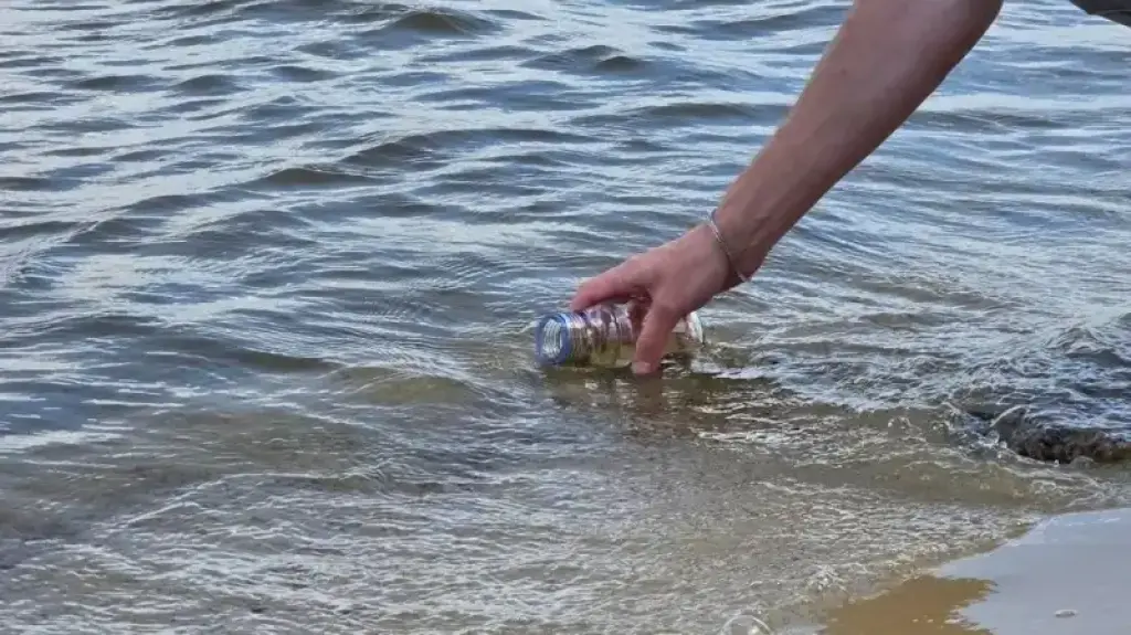 Холеру не виявили, але вібріони є: у водоймах Дніпропетровщини виявили потенційно небезпечні штами
