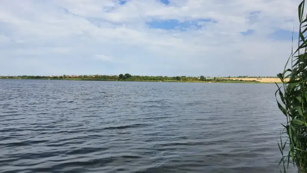 Де краще не купатися у Кривому Розі: перевищення мікробів у водоймах
