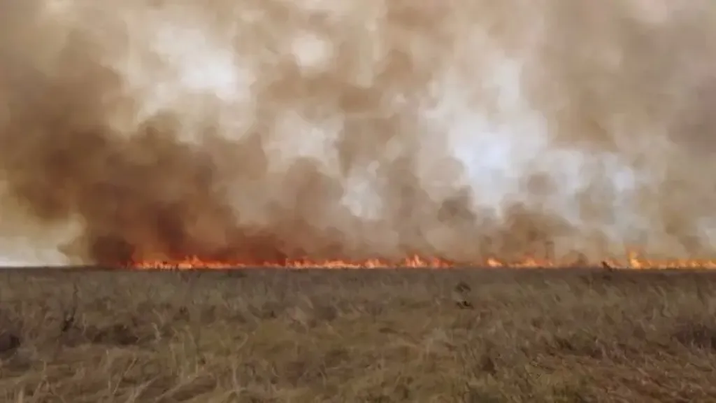Палає степ, згорає спадщина: масштабна пожежа знищила понад 900 гектарів заповідника «Асканія-Нова»
