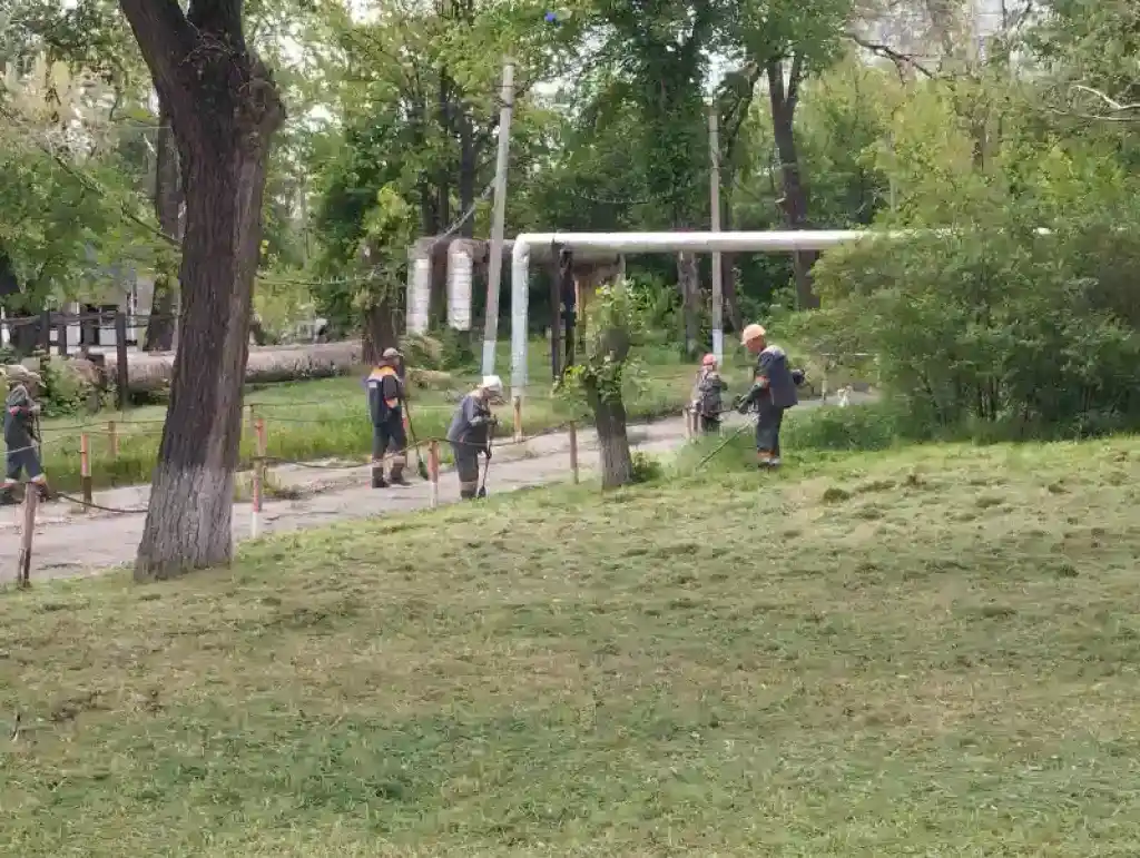 Пластик на переробку, а дерева — в ґрунт: як «АрселорМіттал Кривий Ріг» долучився до екоініціативи