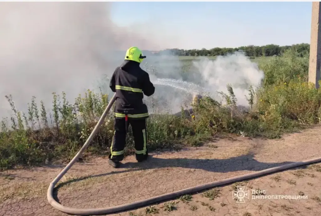Вогонь на відкритих територіях: за добу на Дніпропетровщині вигоріло понад 50 гектарів екосистем