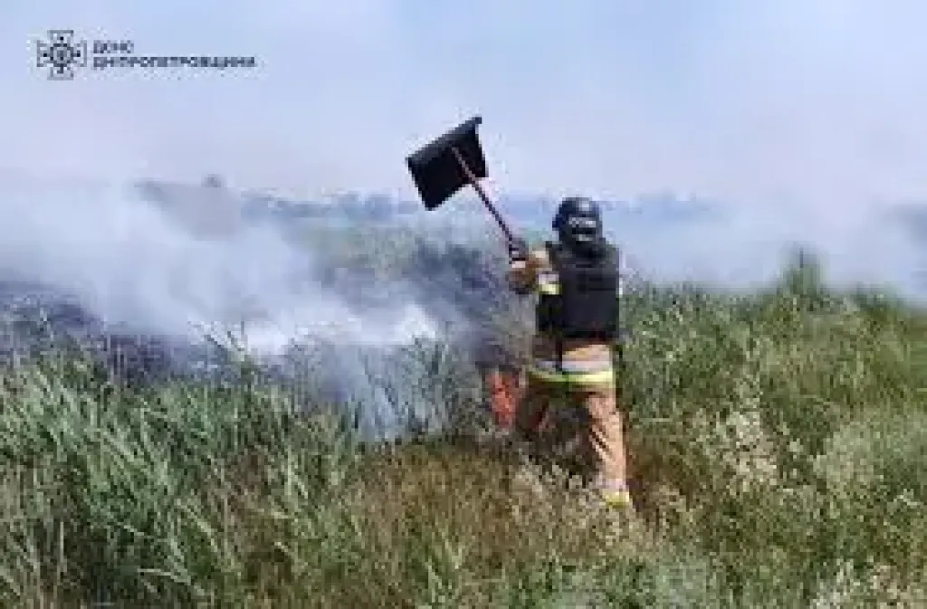 Вогонь на відкритих територіях: за добу на Дніпропетровщині вигоріло понад 50 гектарів екосистем