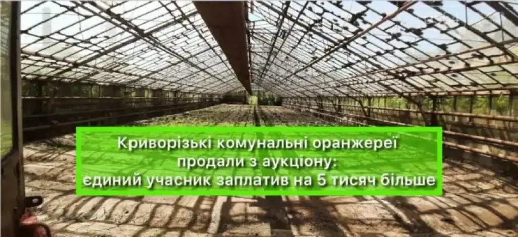 Оранжереї у Кривому Розі продали з аукціону: новий власник доплатив 5 тисяч гривень