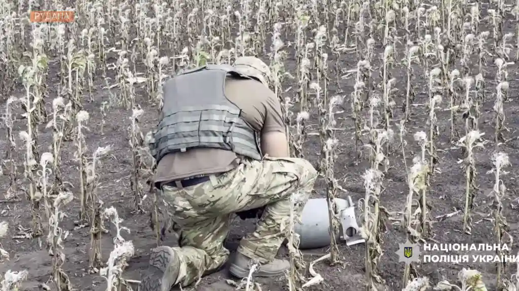На Криворіжжі знешкодили бойову частину ворожого дрона