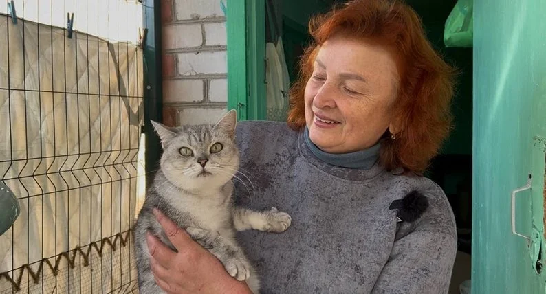 «Я хочу, щоб у кожної тваринки був свій дім»: історія котоготелю у Павлограді