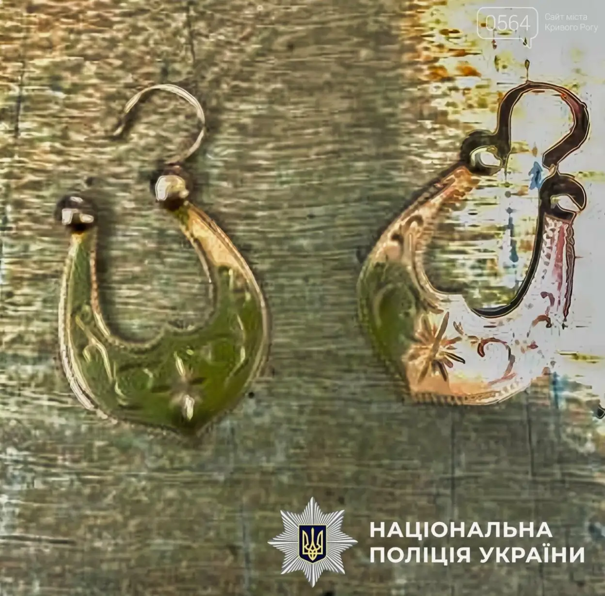 У Кривому Розі затримали чоловіка, який побив і пограбував пенсіонерку