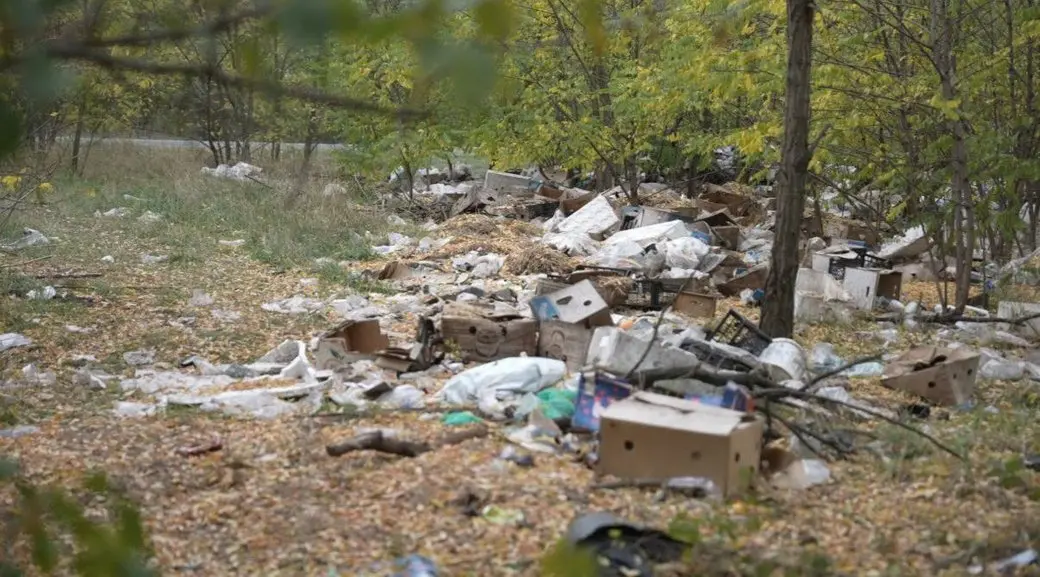 Поблизу Дніпра перевіряють притулок із сотнями тварин: на території знайшли рештки, сміття та щурів