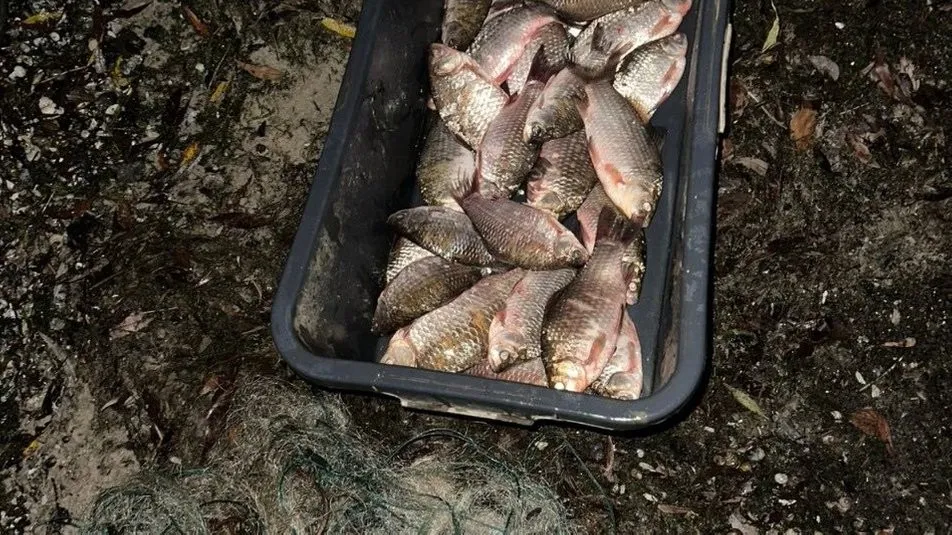 На Дніпровському водосховищі викрили рибалку, який ловив рибу забороненою сіткою