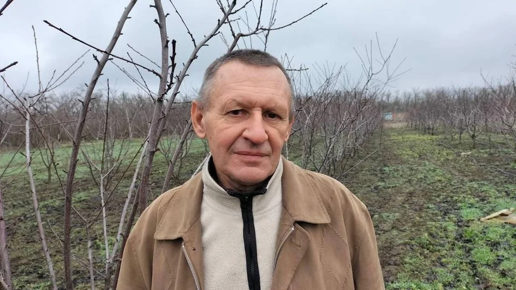 Як доглядати за садом узимку: поради садівника з прифронтової Нікопольщини