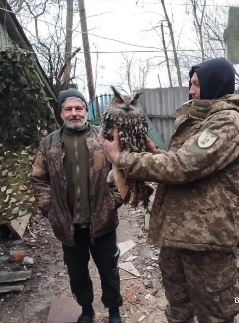 Врятований на фронті пугач проходить реабілітацію у Дніпрі