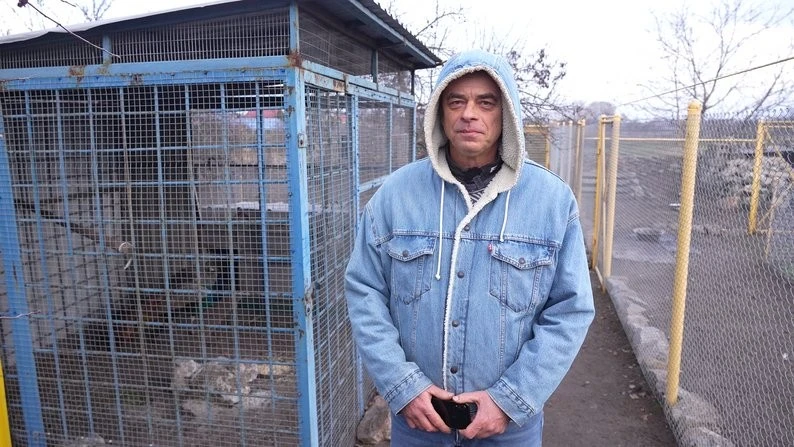 Пара павичів, яка пережила обстріли, знайшла новий дім на Дніпропетровщині