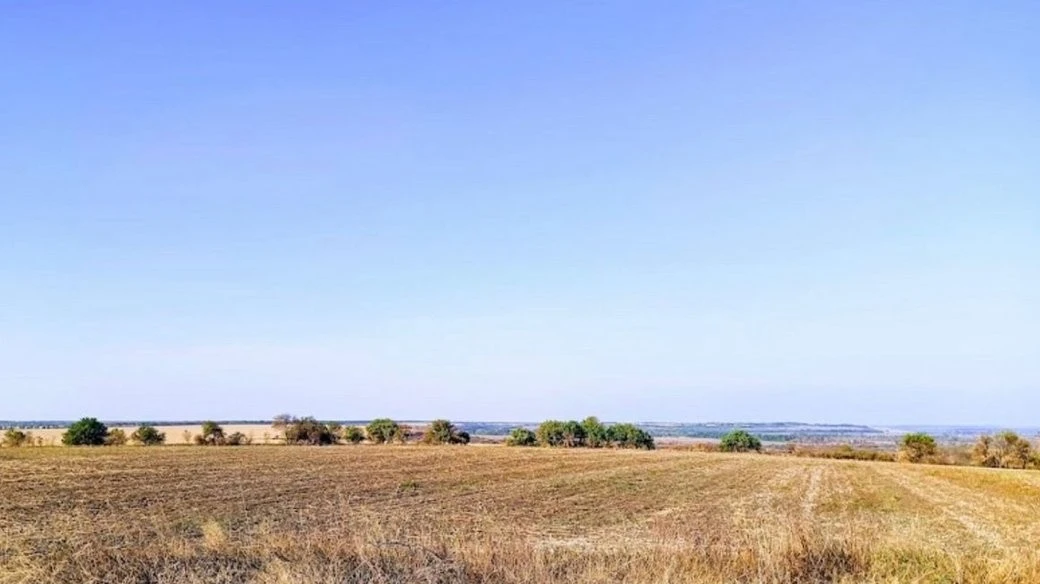 Засіяв заповідник соняшником: на Дніпропетровщині чоловіка підозрюють у захопленні охоронюваних земель