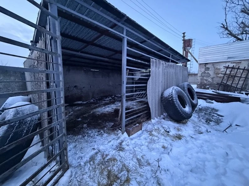 На Дніпропетровщини врятували лева Хана, який зимував у відкритому вольєрі