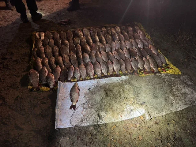 На водоймах Дніпропетровщини за тиждень зафіксували збитки майже на 100 тисяч гривень