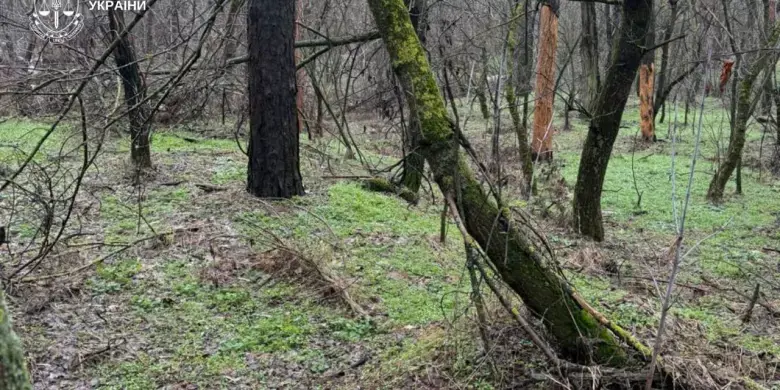 На Дніпропетровщині посадовцям “Лісів України” повідомлено про підозру через багатомільйонні збитки
