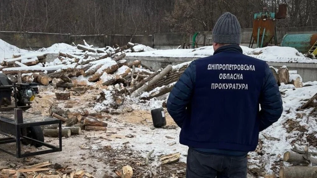 Понад мільйон збитків на “чорних” дровах: на Дніпропетровщині викрили лісорубів-нелегалів