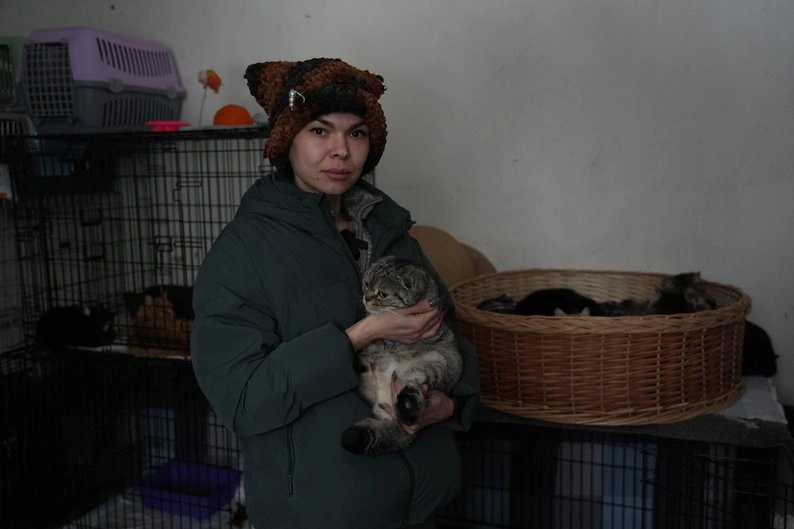 Замість «балетної» ходи — постійний біль: історія порятунку котів із прифронтової Межової