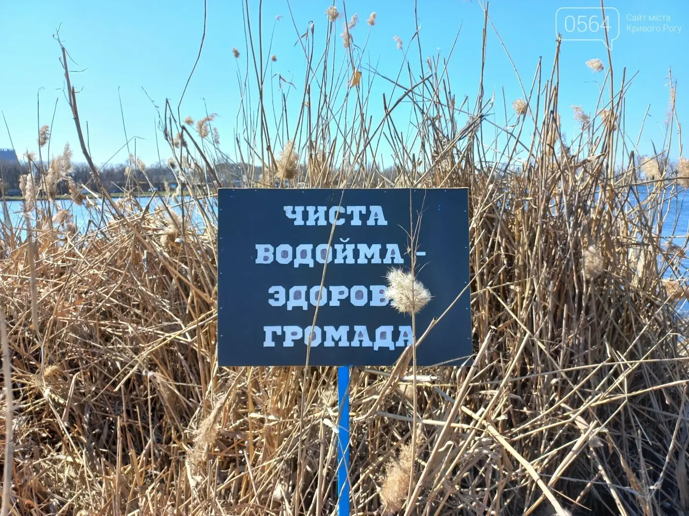 Екоініціатива в Кривому Розі: волонтери очистили береги водойм до Всесвітнього дня водних ресурсів