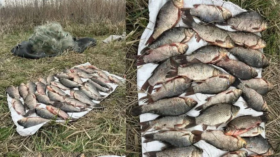 Майже 57 тисяч гривень за карасів: на Мокрій Сурі затримали браконьєра