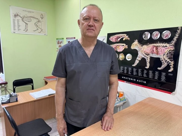 У Кривому Розі рятують вівчарку, яка постраждала від російської атаки