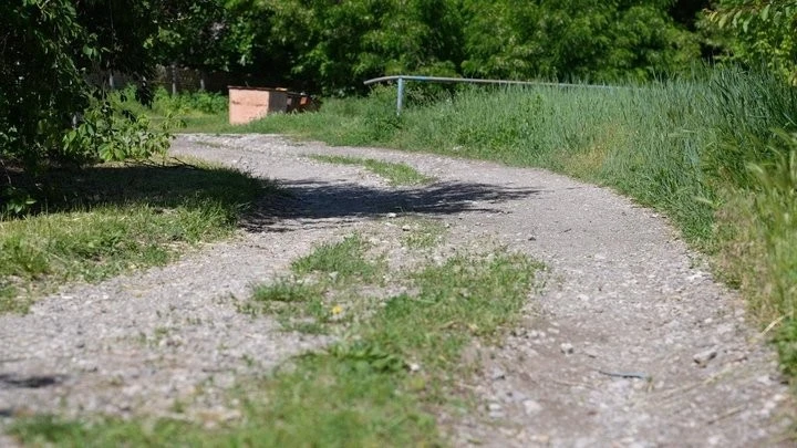 На Дніпропетровщині оголосили карантин через напад скаженого шакала
