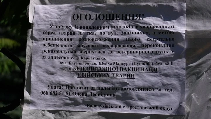 На Дніпропетровщині оголосили карантин через напад скаженого шакала