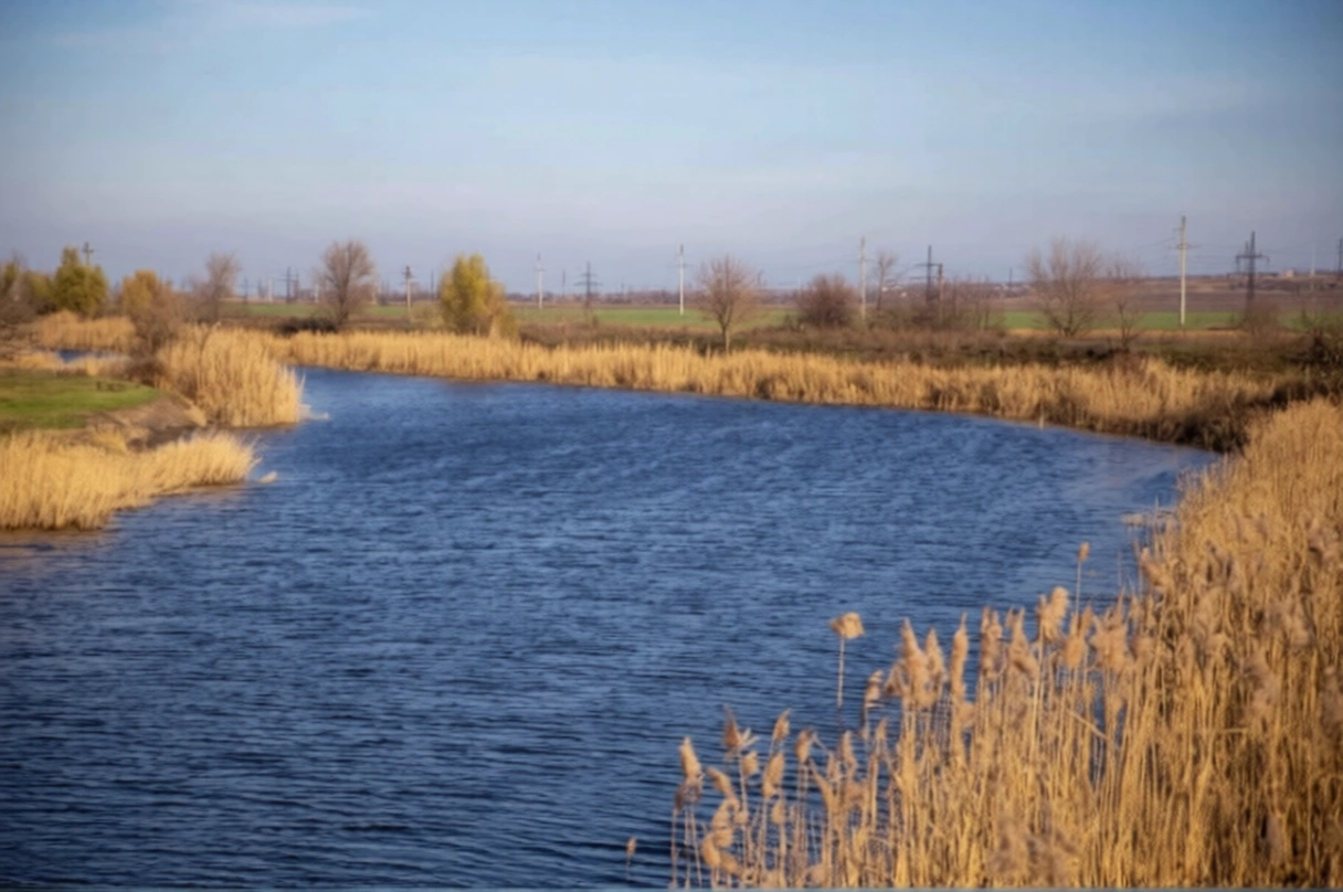 Громада на Криворіжжі відсудила велику водойму через злісні порушення орендаря