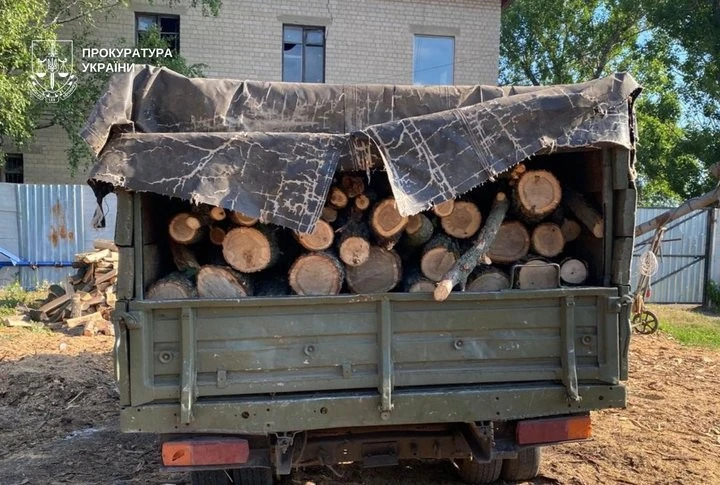 На Дніпропетровщині судитимуть організаторів масштабної незаконної вирубки захисних лісів
