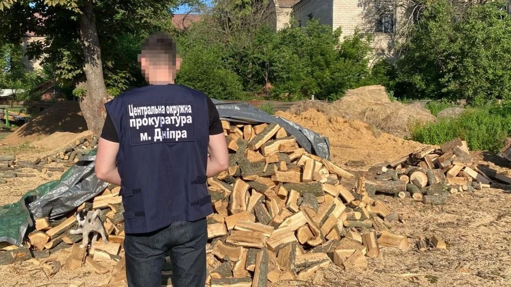 На Дніпропетровщині судитимуть організаторів масштабної незаконної вирубки захисних лісів